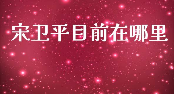 宋卫平目前在哪里_https://m.qmgjg.com_金融市场_第1张