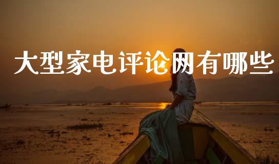 大型家电评论网有哪些_https://m.qmgjg.com_货币基金_第1张