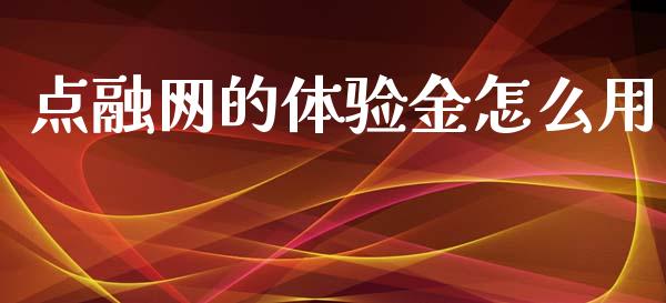 点融网的体验金怎么用_https://m.qmgjg.com_货币基金_第1张