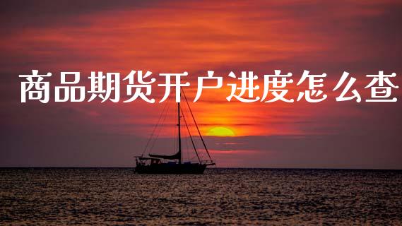 商品期货开户进度怎么查_https://m.qmgjg.com_资金管理_第1张