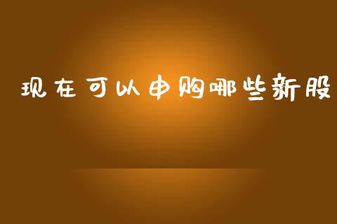 现在可以申购哪些新股_https://m.qmgjg.com_货币基金_第1张