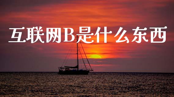 互联网B是什么东西_https://m.qmgjg.com_资金管理_第1张