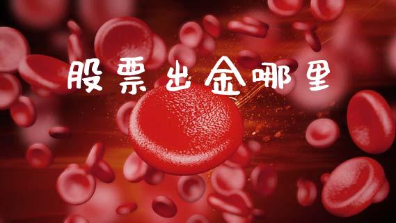 股票出金哪里_https://m.qmgjg.com_资金管理_第1张