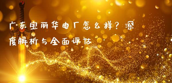 广东宝丽华电厂怎么样？深度解析与全面评估_https://m.qmgjg.com_货币基金_第1张