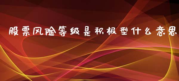 股票风险等级是积极型什么意思_https://m.qmgjg.com_投资银行_第1张