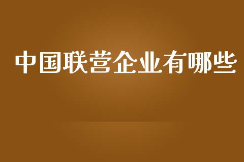 中国联营企业有哪些_https://m.qmgjg.com_投资银行_第1张