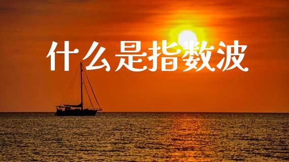 什么是指数波_https://m.qmgjg.com_货币基金_第1张