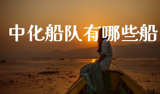中化船队有哪些船_https://m.qmgjg.com_货币基金_第1张