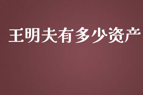 王明夫有多少资产_https://m.qmgjg.com_金融市场_第1张
