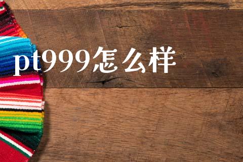 pt999怎么样_https://m.qmgjg.com_资金管理_第1张