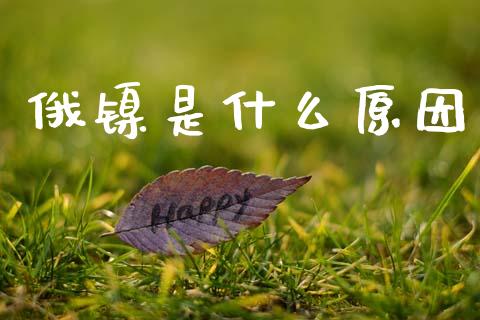 俄镍是什么原因_https://m.qmgjg.com_金融市场_第1张