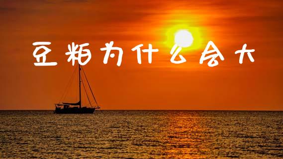 豆粕为什么会大_https://m.qmgjg.com_货币基金_第1张