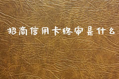 招商信用卡终审是什么_https://m.qmgjg.com_货币基金_第1张