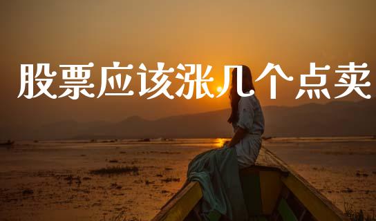 股票应该涨几个点卖_https://m.qmgjg.com_投资银行_第1张