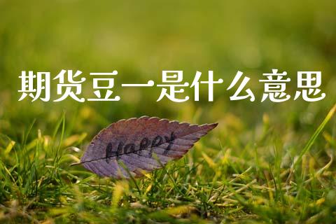 期货豆一是什么意思_https://m.qmgjg.com_投资银行_第1张