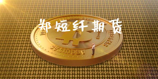 郑短纤期货_https://m.qmgjg.com_资金管理_第1张