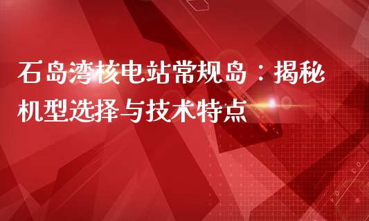 石岛湾核电站常规岛：揭秘机型选择与技术特点_https://m.qmgjg.com_资金管理_第1张