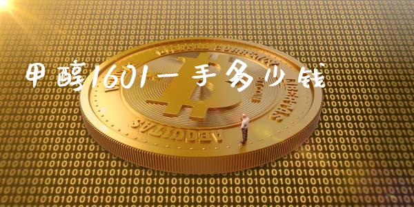 甲醇1601一手多少钱_https://m.qmgjg.com_资金管理_第1张