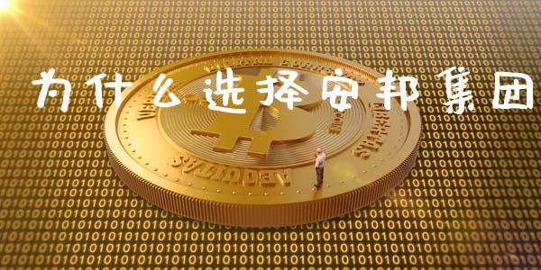 为什么选择安邦集团_https://m.qmgjg.com_货币基金_第1张