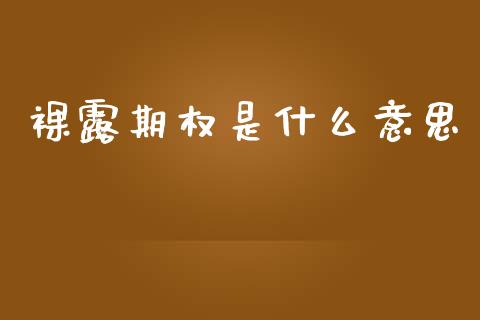 裸露期权是什么意思_货币基金_第1张_资金管理_投资银行_金融市场_货币基金 裸露期权是什么意思_https://m.qmgjg.com_货币基金_第1张