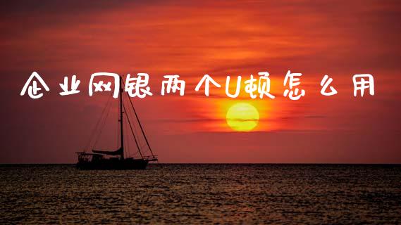 企业网银两个U顿怎么用_https://m.qmgjg.com_货币基金_第1张