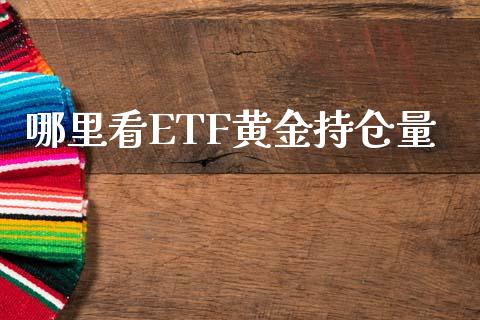 哪里看ETF黄金持仓量_https://m.qmgjg.com_投资银行_第1张
