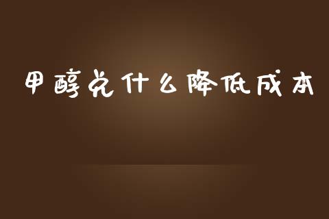甲醇兑什么降低成本_https://m.qmgjg.com_投资银行_第1张