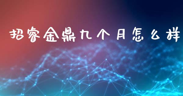 招睿金鼎九个月怎么样_https://m.qmgjg.com_货币基金_第1张