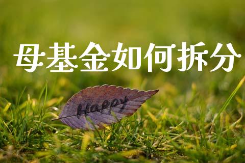母基金如何拆分_https://m.qmgjg.com_金融市场_第1张