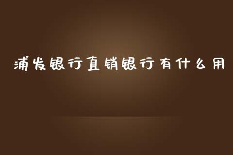 浦发银行直销银行有什么用_https://m.qmgjg.com_投资银行_第1张