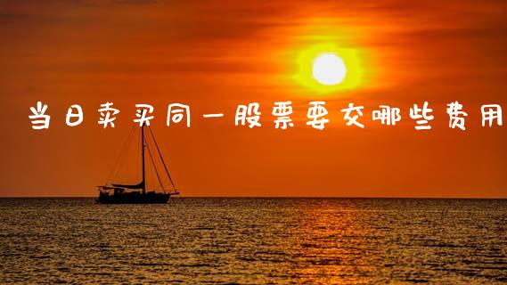 当日卖买同一股票要交哪些费用_https://m.qmgjg.com_货币基金_第1张