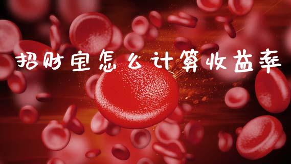 招财宝怎么计算收益率_https://m.qmgjg.com_资金管理_第1张