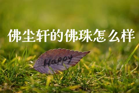 佛尘轩的佛珠怎么样_https://m.qmgjg.com_资金管理_第1张