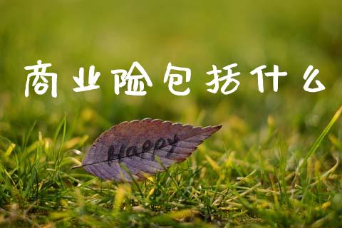 商业险包括什么_https://m.qmgjg.com_资金管理_第1张