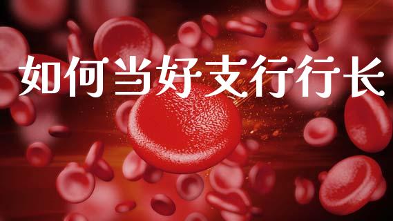 如何当好支行行长_https://m.qmgjg.com_投资银行_第1张
