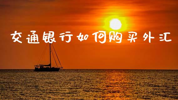 交通银行如何购买外汇_https://m.qmgjg.com_投资银行_第1张