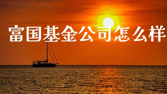 富国基金公司怎么样_https://m.qmgjg.com_金融市场_第1张