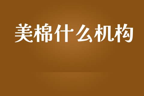 美棉什么机构_https://m.qmgjg.com_资金管理_第1张