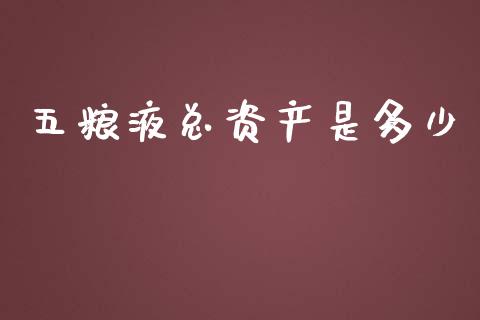 五粮液总资产是多少_https://m.qmgjg.com_货币基金_第1张