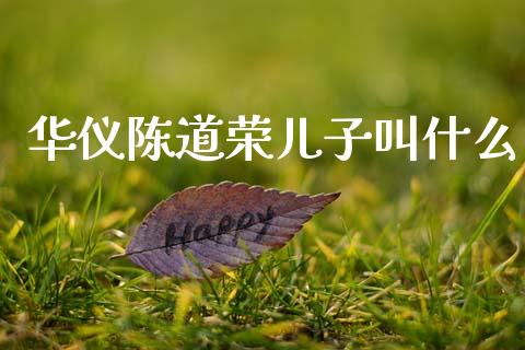 华仪陈道荣儿子叫什么_https://m.qmgjg.com_投资银行_第1张