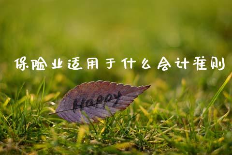 保险业适用于什么会计准则_https://m.qmgjg.com_货币基金_第1张