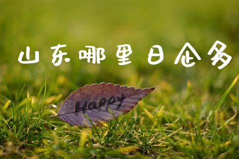 山东哪里日企多_https://m.qmgjg.com_资金管理_第1张