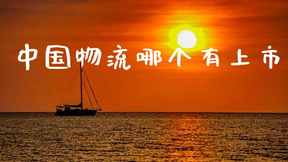 中国物流哪个有上市_https://m.qmgjg.com_金融市场_第1张