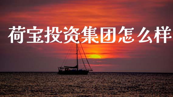 荷宝投资集团怎么样_https://m.qmgjg.com_金融市场_第1张