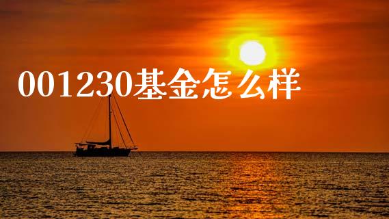 001230基金怎么样_https://m.qmgjg.com_资金管理_第1张