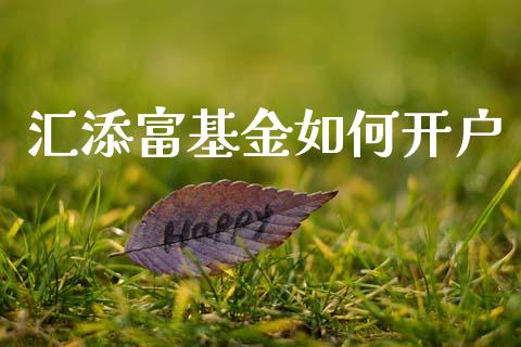 汇添富基金如何开户_https://m.qmgjg.com_投资银行_第1张