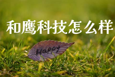 和鹰科技怎么样_https://m.qmgjg.com_金融市场_第1张
