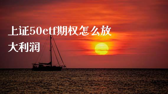 上证50etf期权怎么放大利润_https://m.qmgjg.com_货币基金_第1张