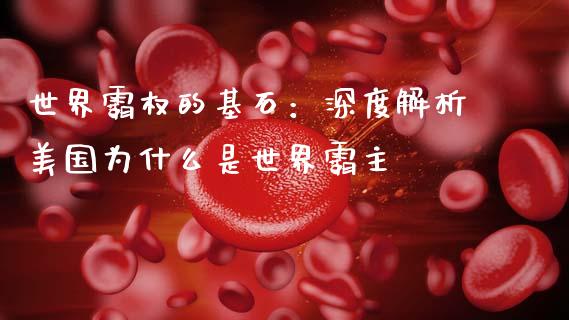 世界霸权的基石：深度解析美国为什么是世界霸主_https://m.qmgjg.com_货币基金_第1张