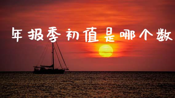 年报季初值是哪个数_https://m.qmgjg.com_资金管理_第1张